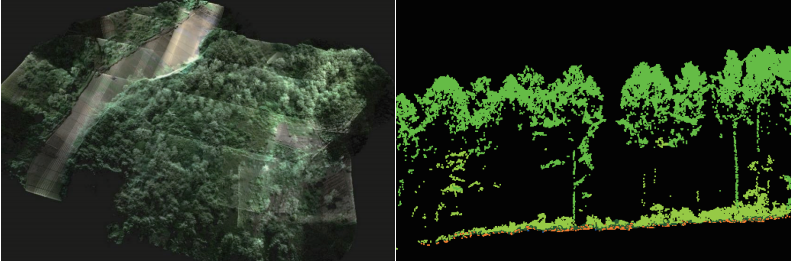 Lidar Vegetation Mapping