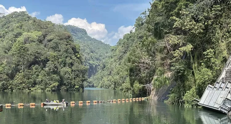 Lidar Vegetation Mapping