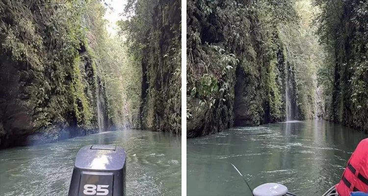 Lidar Vegetation Mapping