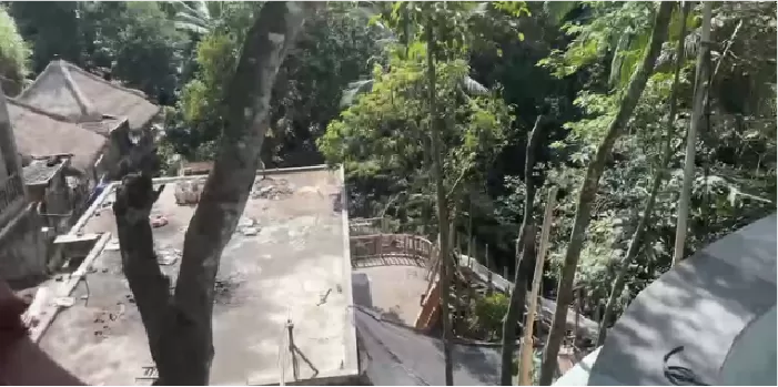 Lidar Vegetation Mapping