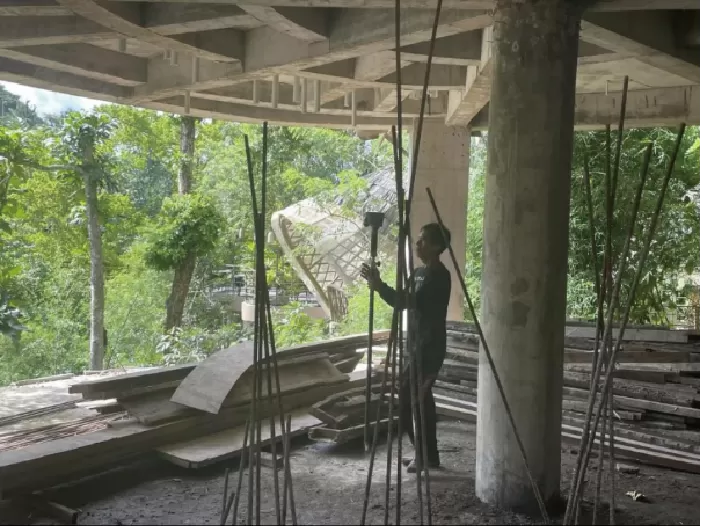 Lidar Vegetation Mapping